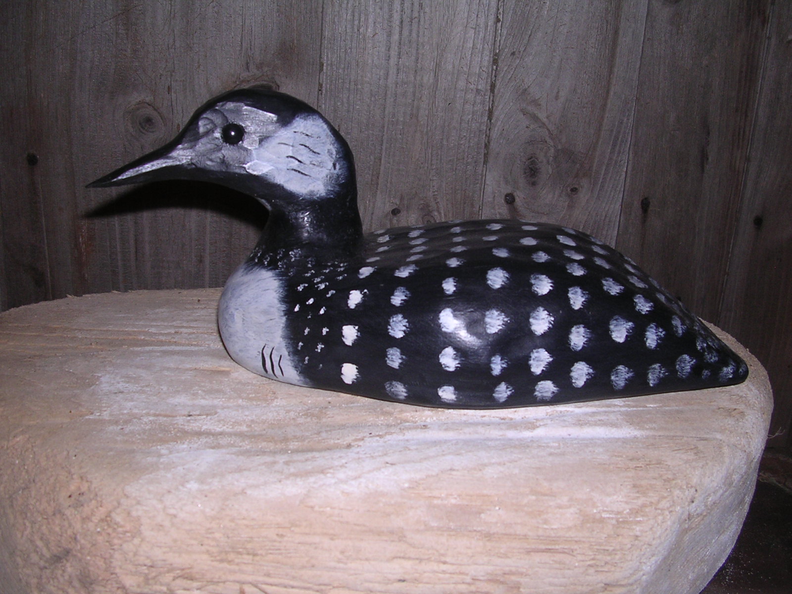 Loon