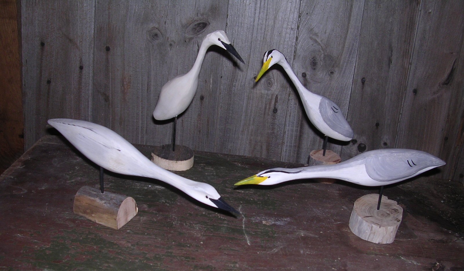 Small Blue Herons & Egrets