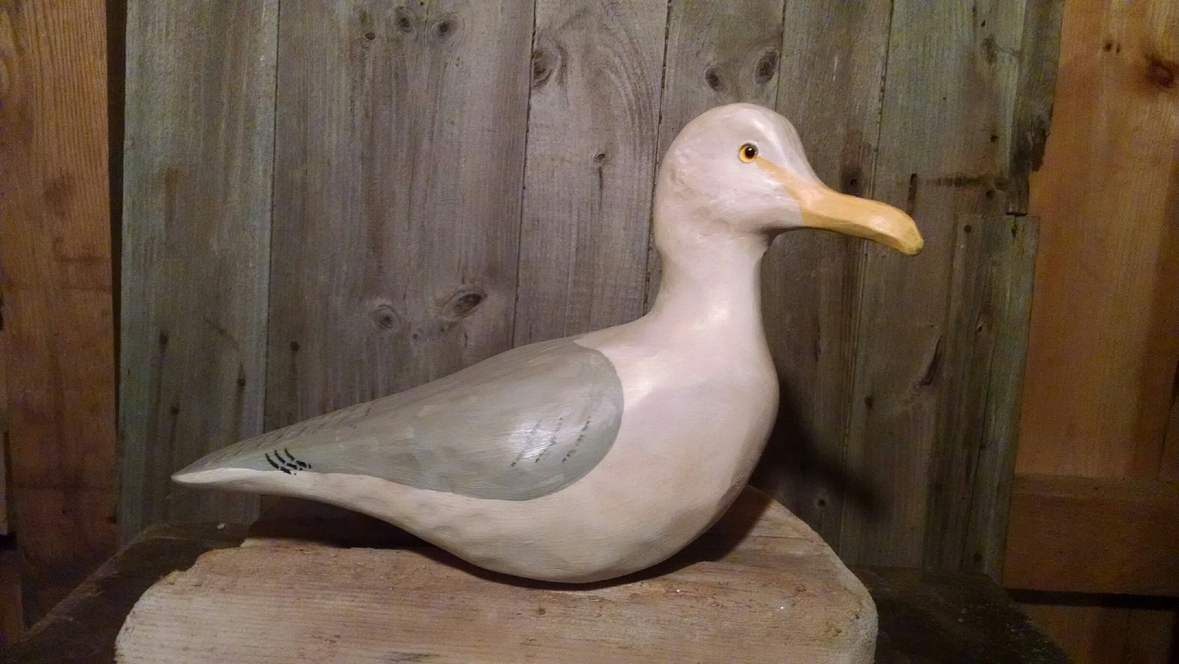 Seagull