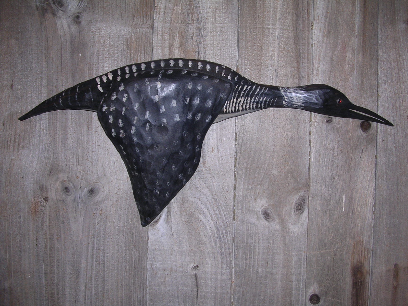 Flying Loon