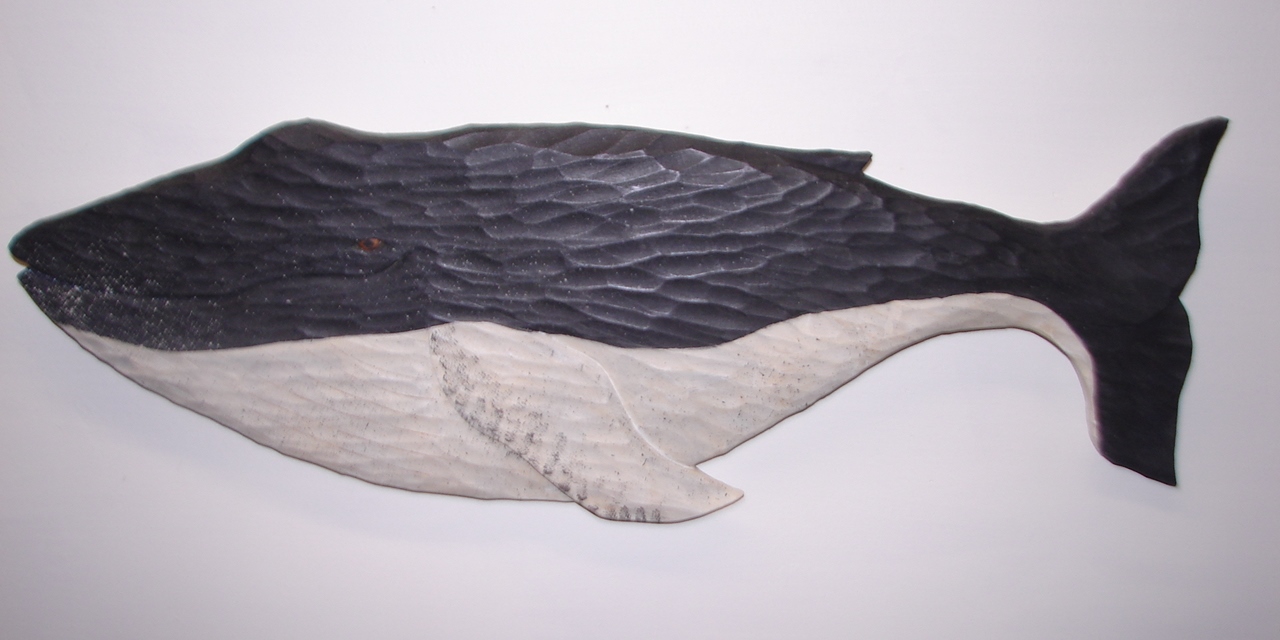 Humpback Whale