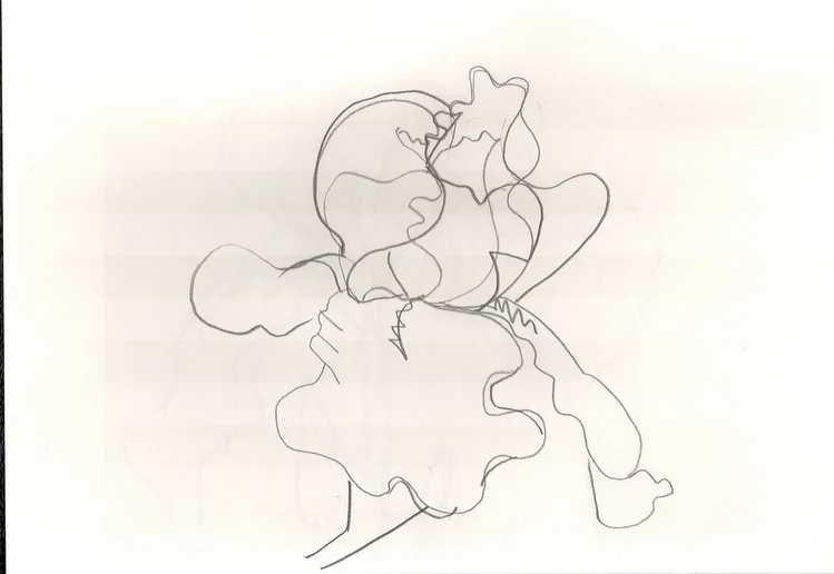 iris 3.jpg