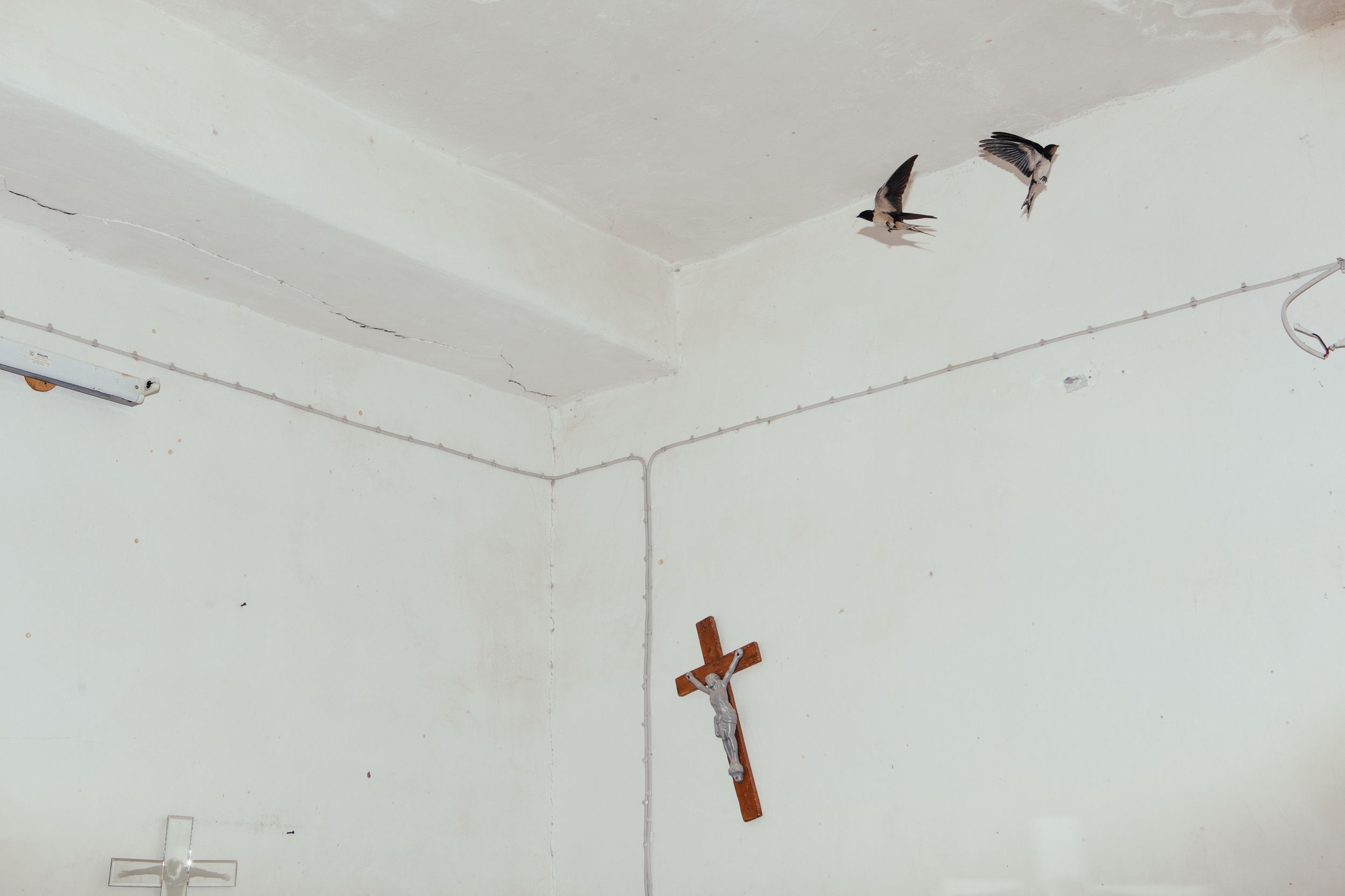  Two birds fly in a room adorned with crosses at St. George's Chaldean church in the village of Baqofah,&nbsp;Northern Iraqi Kurdistan. 