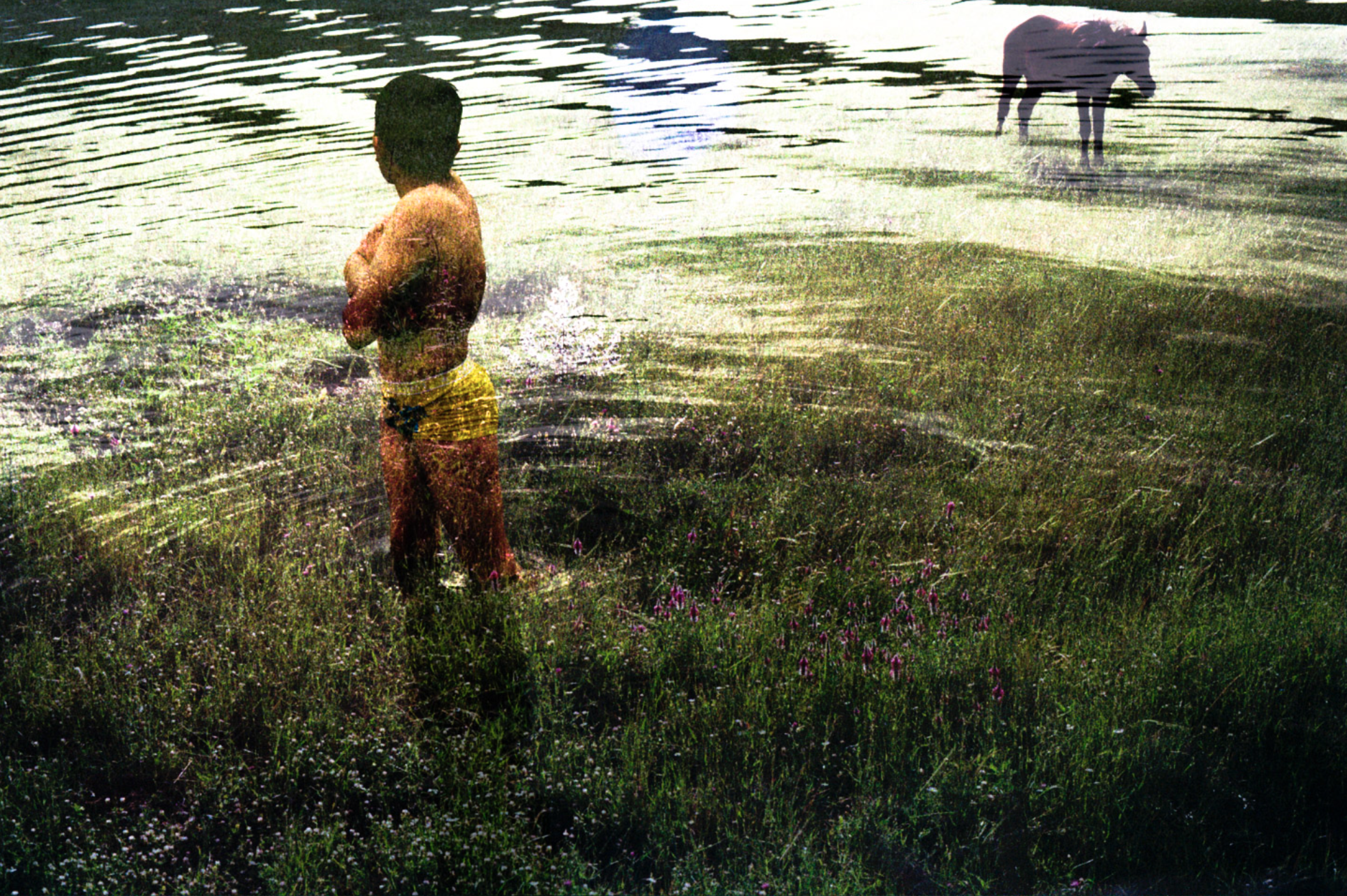 Screen Shot 2021-05-03 at 8.39.52 AM.png