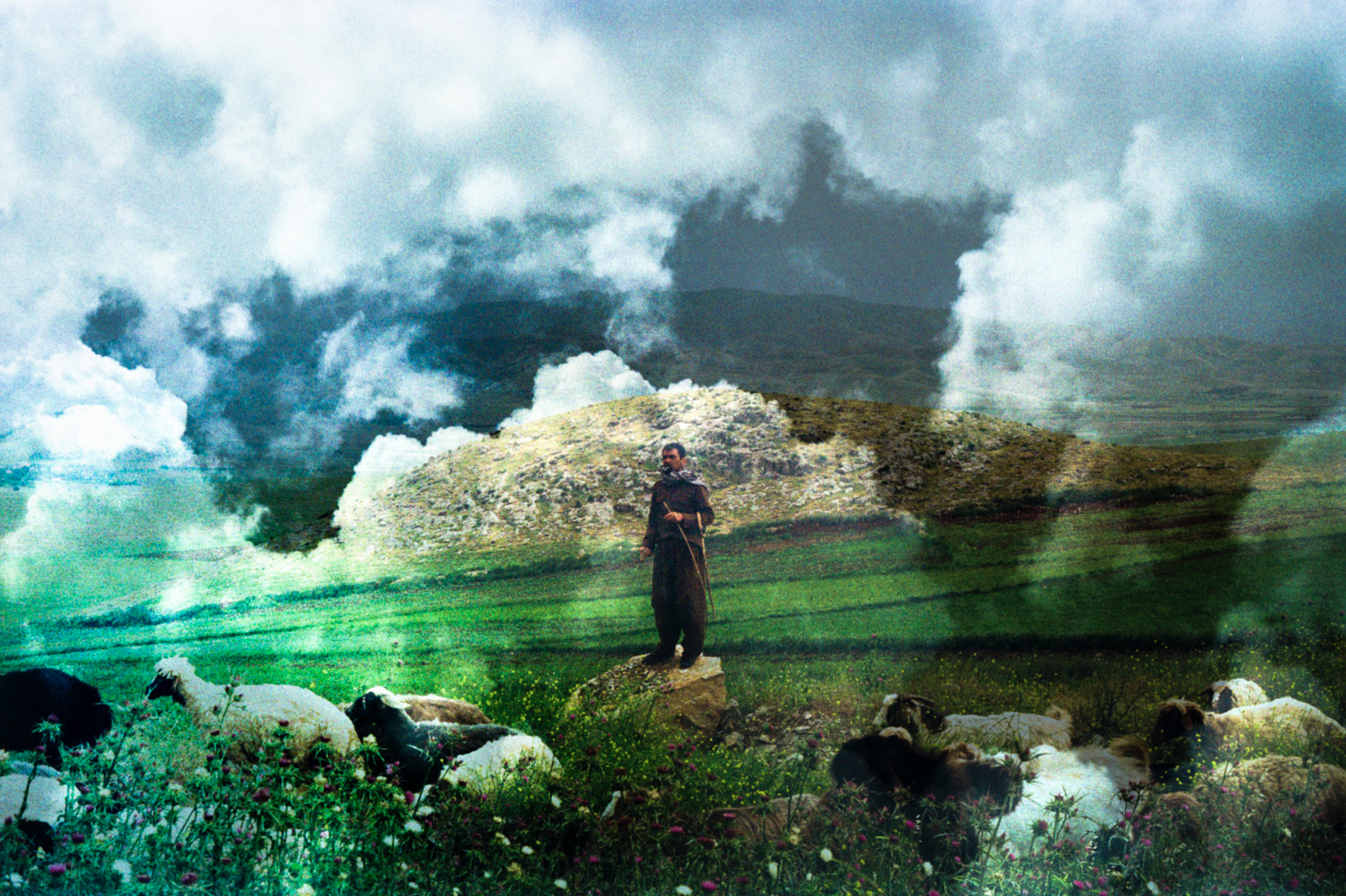 Screen Shot 2021-05-03 at 8.40.52 AM.png