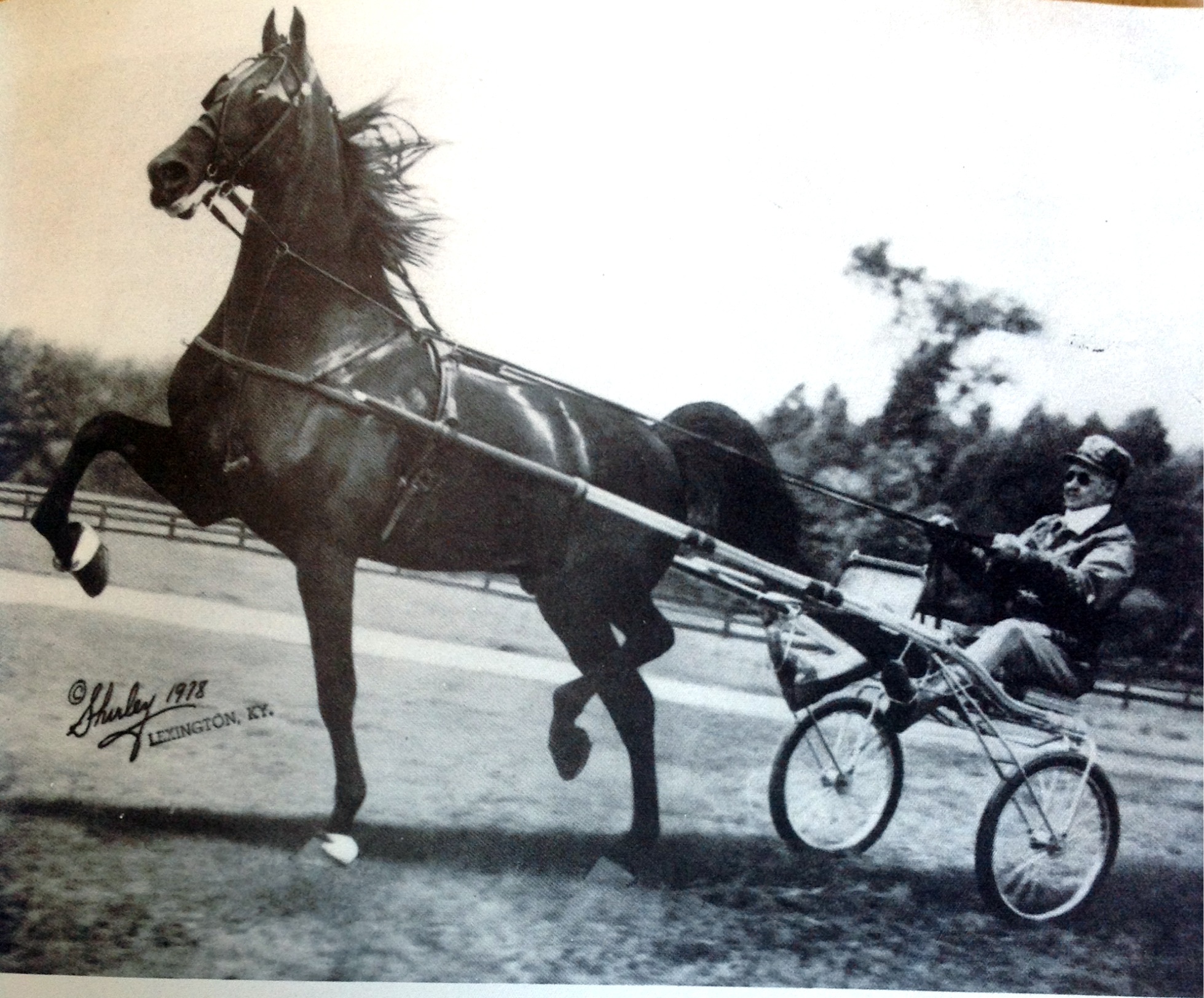 Thunder Road and Bill Bunn