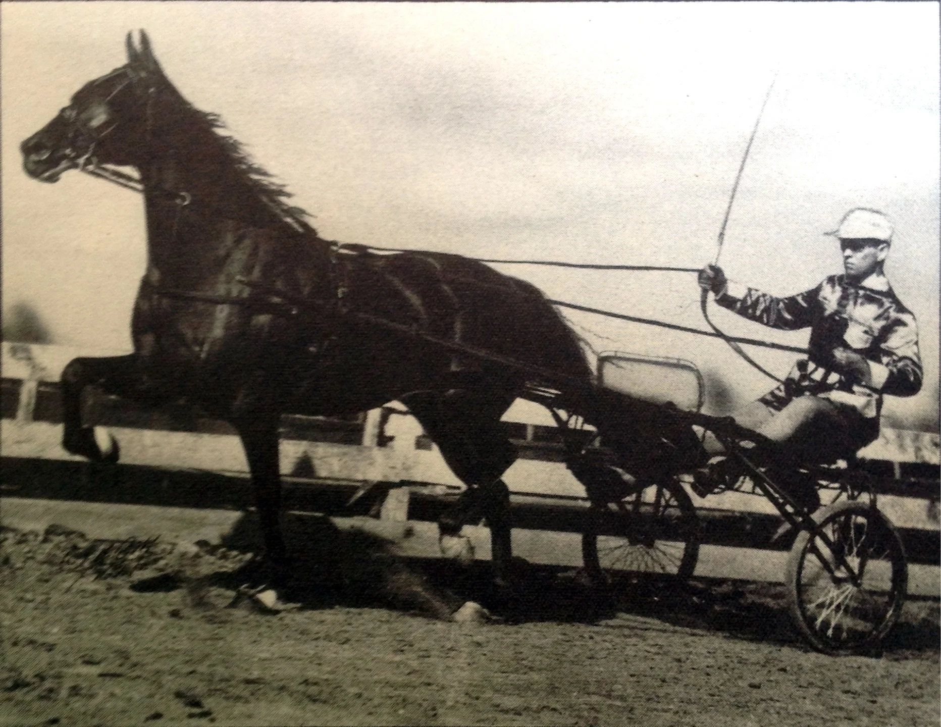 Blythwood's Jaguar and David Neil