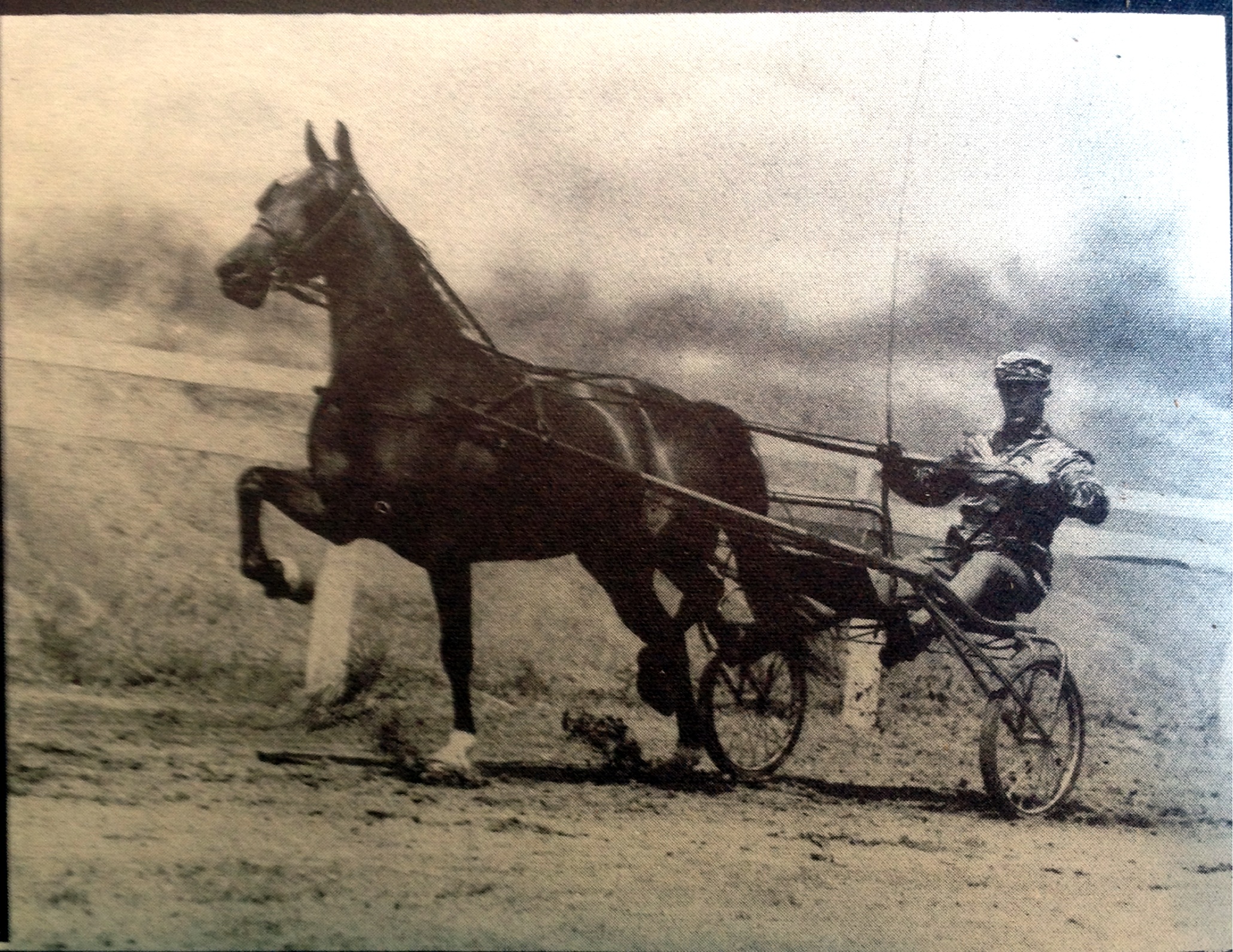 Blythe Bantam and David Neil