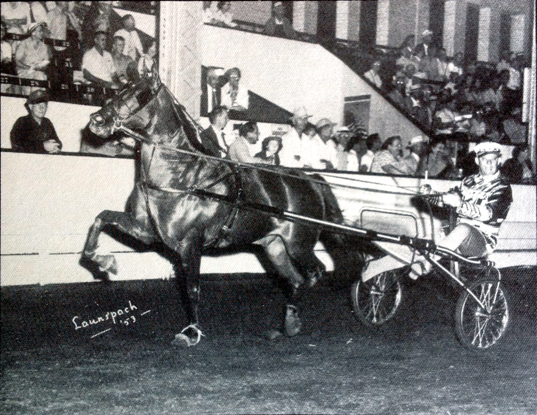 David Neil and Wild Indian