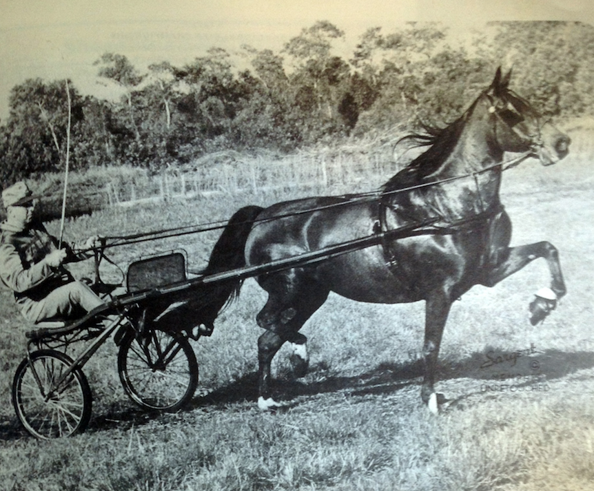 Charles Jenkins and Cherokee