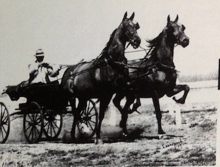 Air Express and Spencer Abby and Delton Armstrong