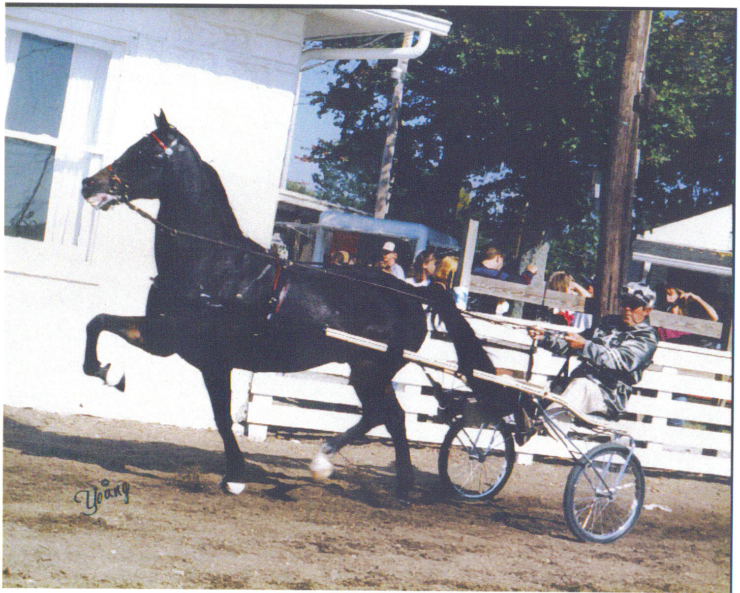 Emerson Wallingford and unknown horse