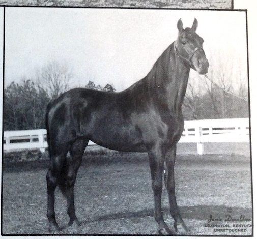 Blazit owned by David Chestnut
