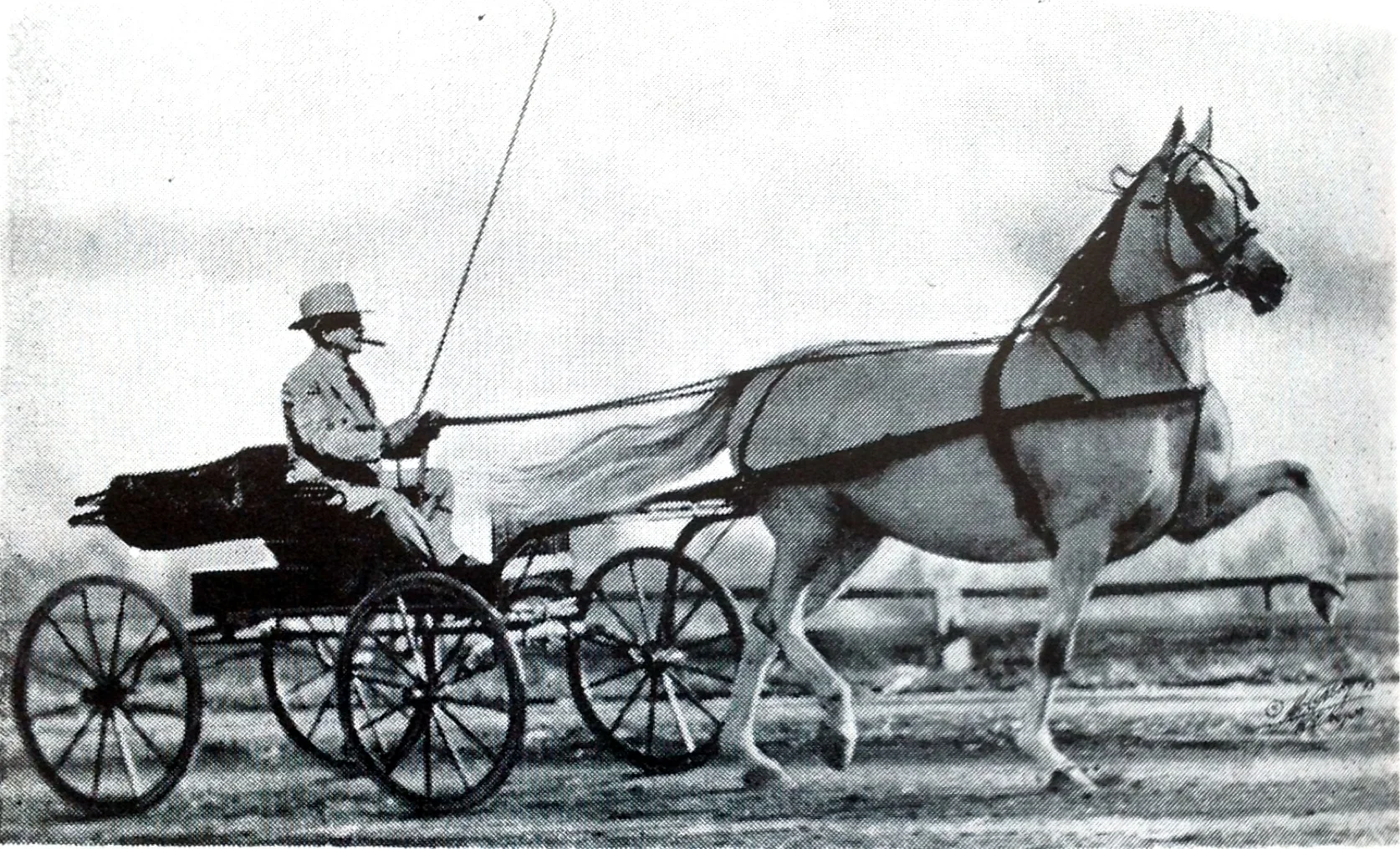 Greyhound with Col. Baker driving