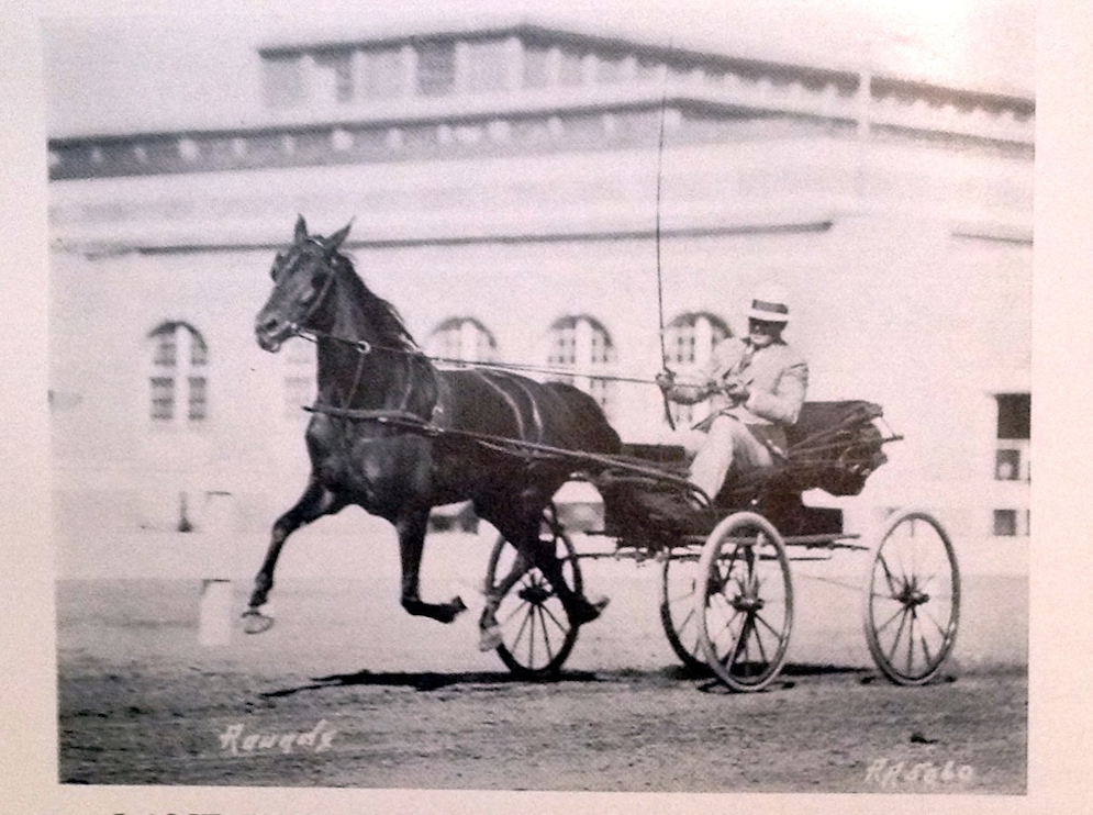 Lane Bridgeford Driving The Arrow