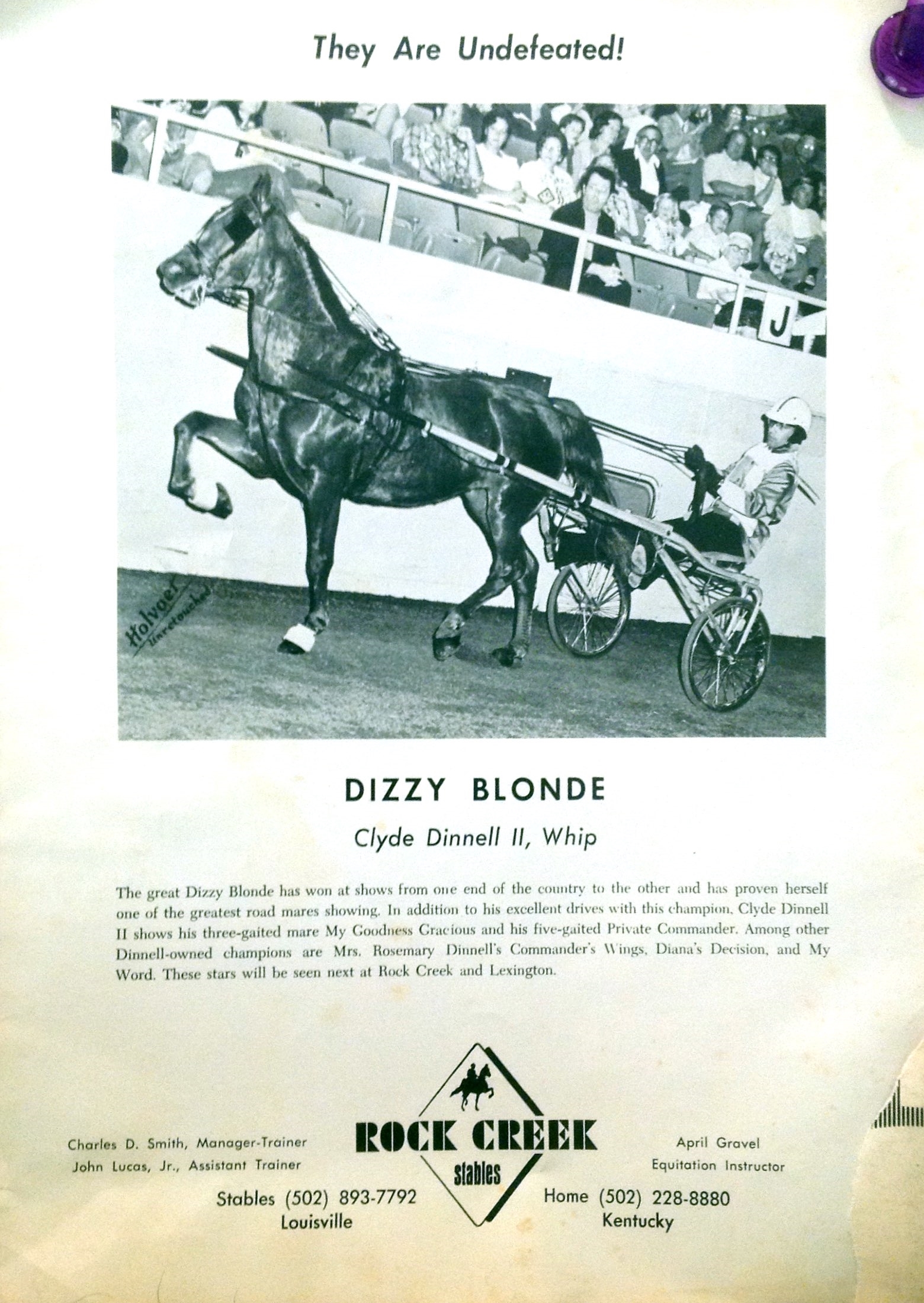 Dizzy Blonde and Clyde Dinnell II