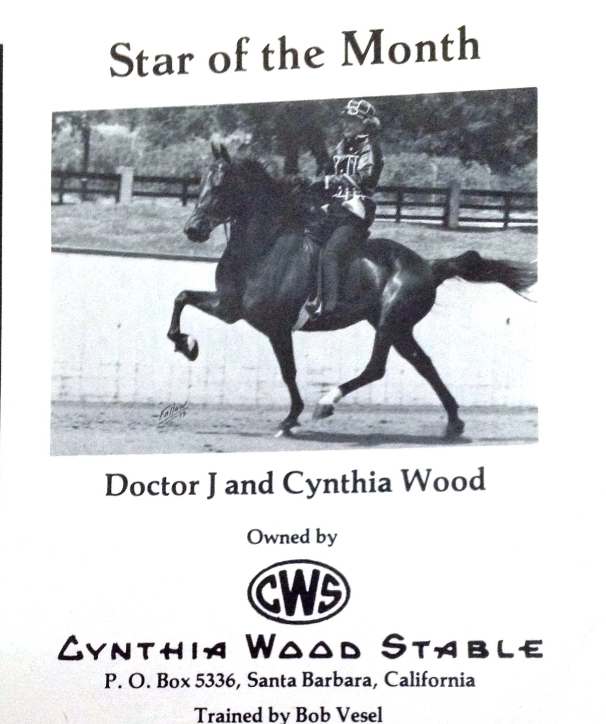 Doctor J and Cythia Wood