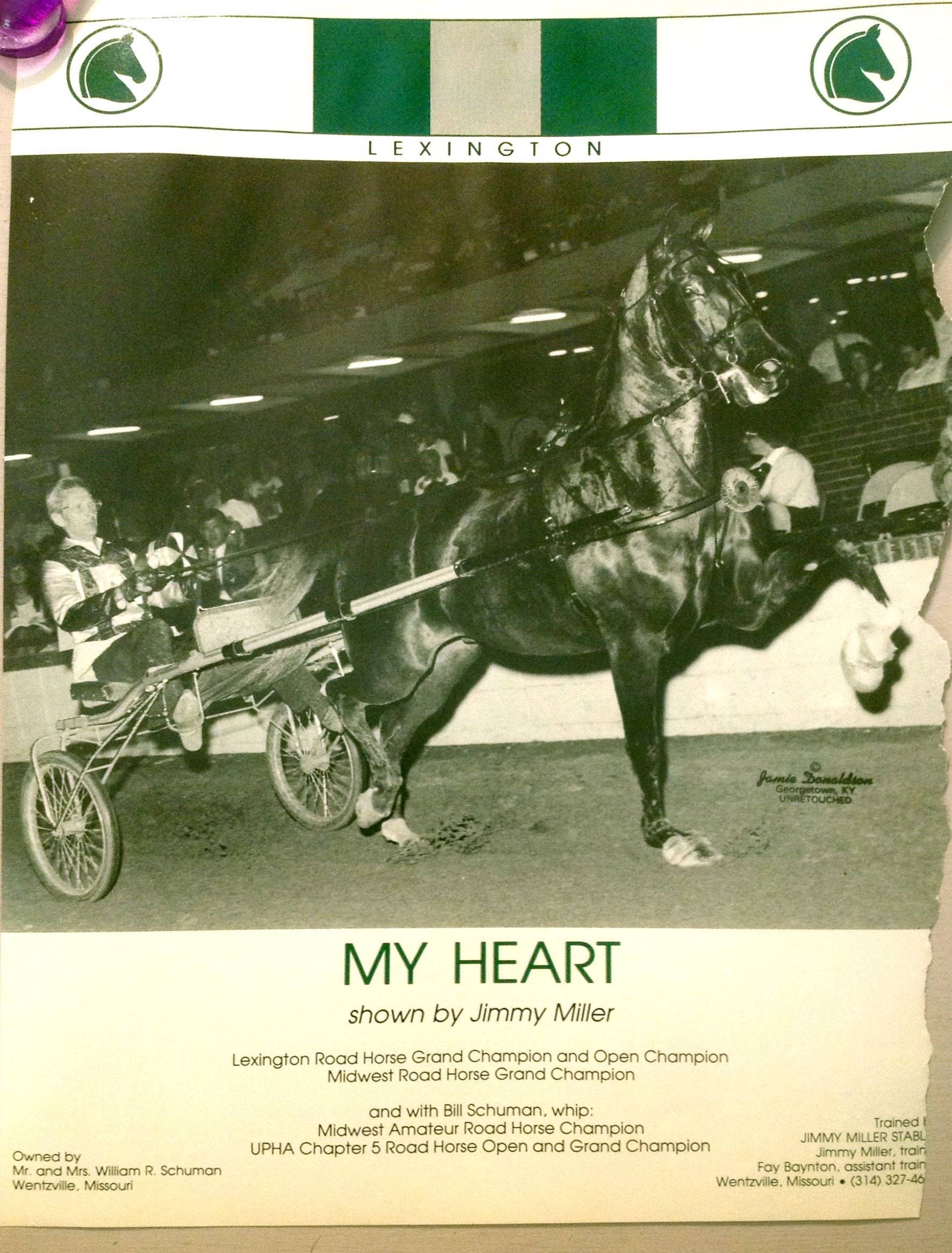 My Heart and Jimmy Miller