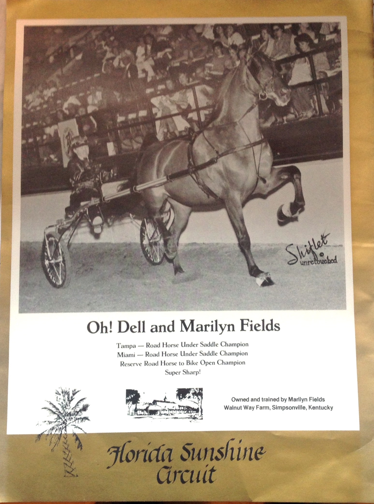 Oh Dell! and Marilyn Fields