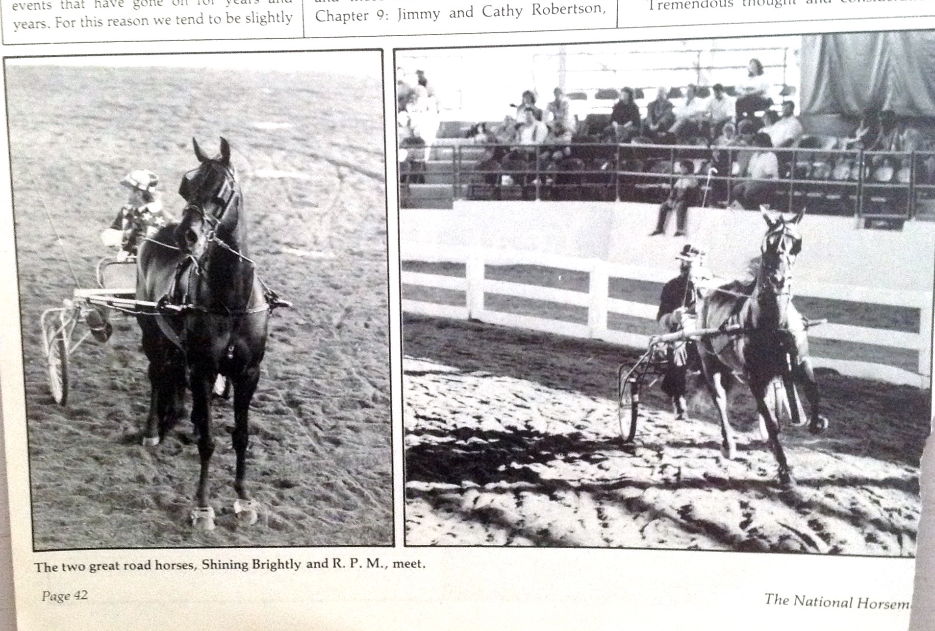 The two great road horses, Shining Brightly and R. P. M. meet