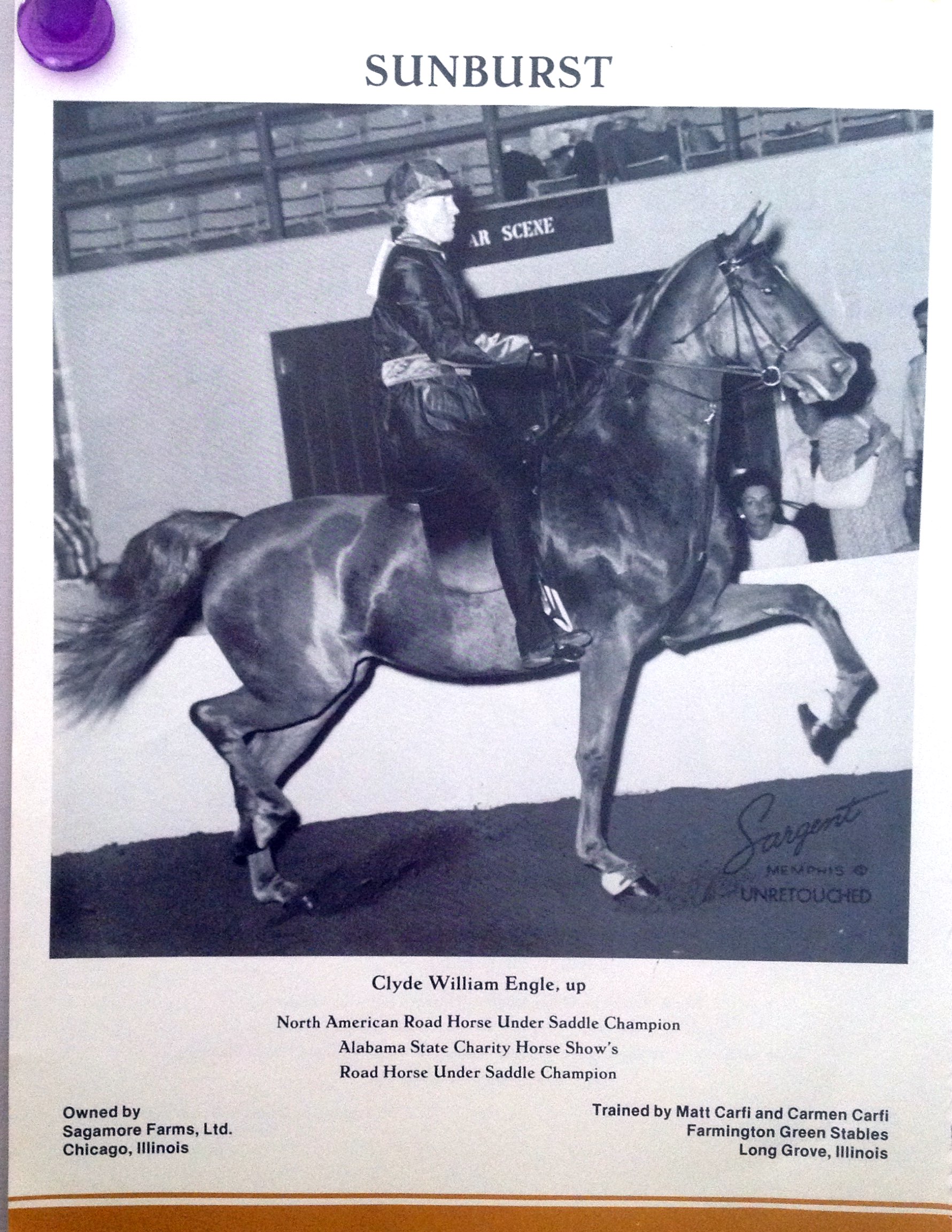Sunburst and Clyde William Engle Under Saddle