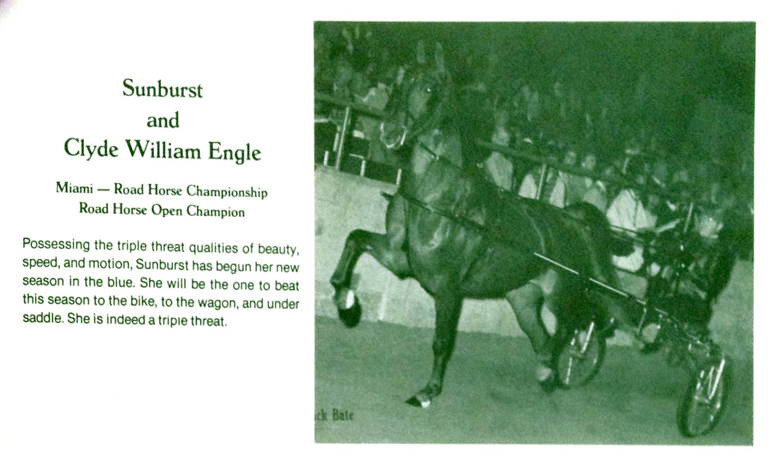 Sunburst and Clyde William Engle