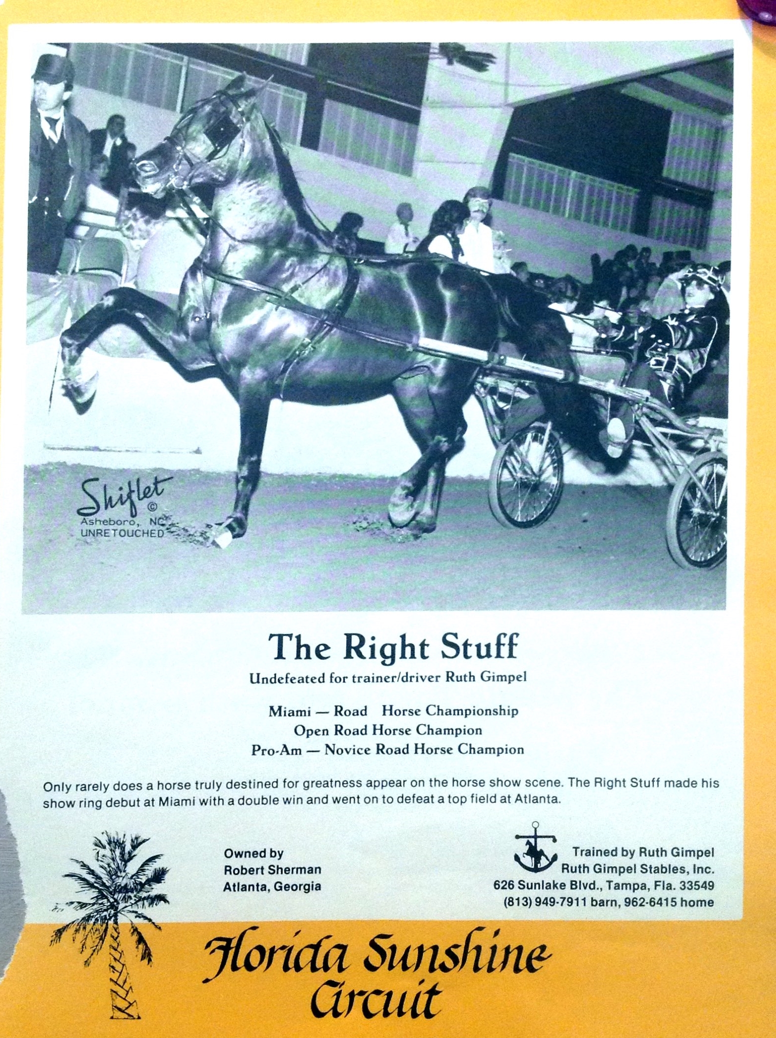 The Right Stuff and Ruth Gimple