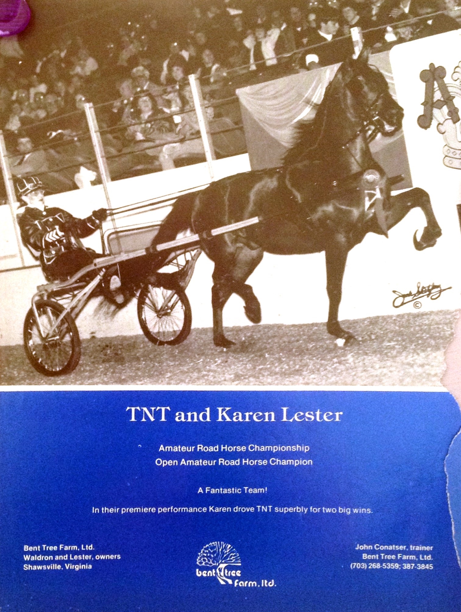 TNT and Karen Lester