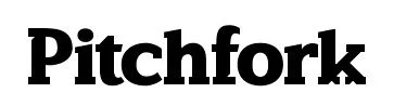 pitchfork_redux_logo_detail.jpg