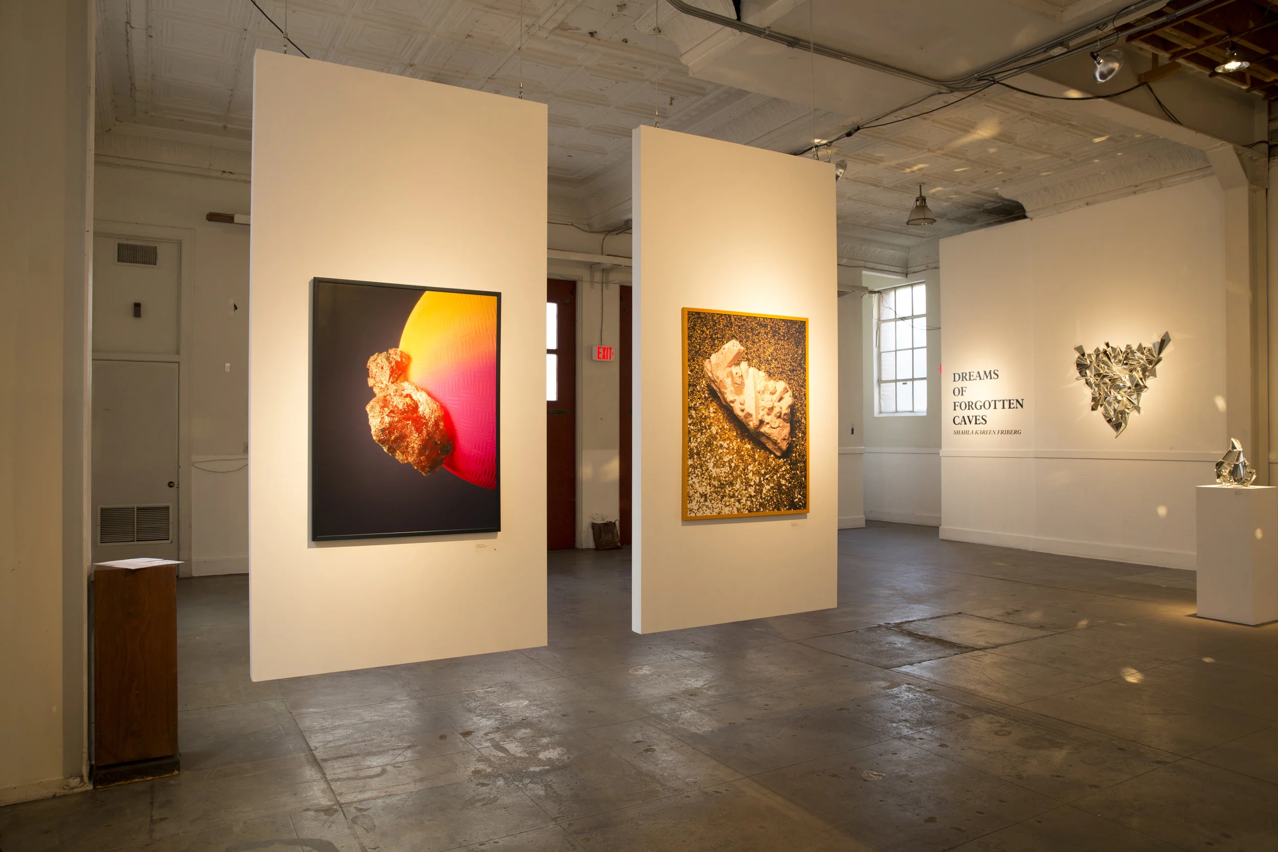 Destiny, Manifested 2017 Installation view.