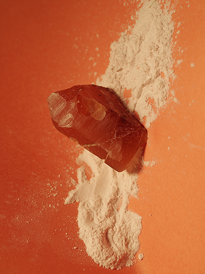 CORDYCEPS GOJI RHODIOLA 30x40" digital c-print, 2017