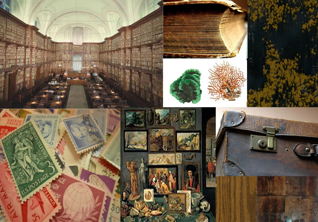 Materials and Inspirations