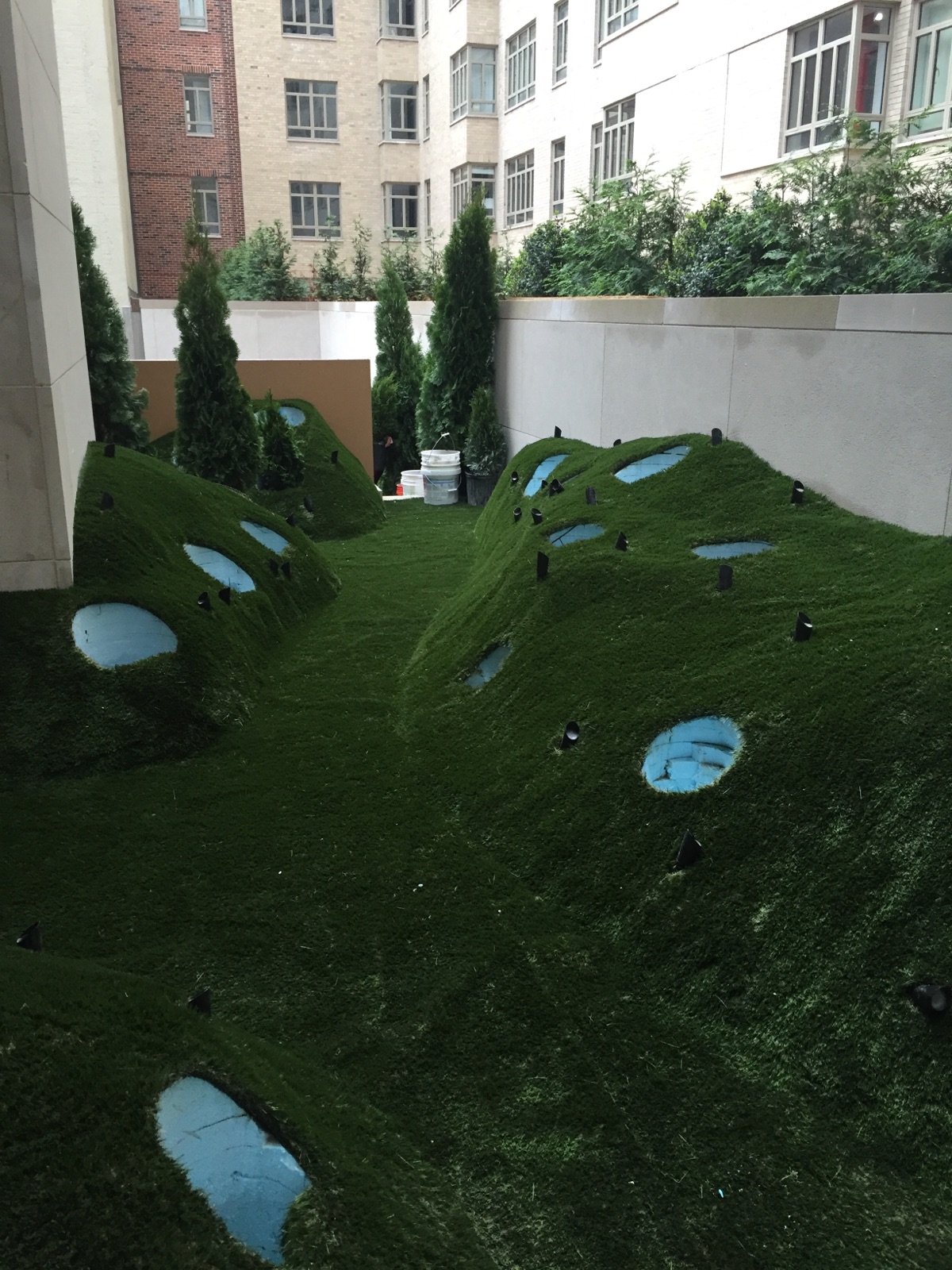 2016-05-04 19.56.16.jpg