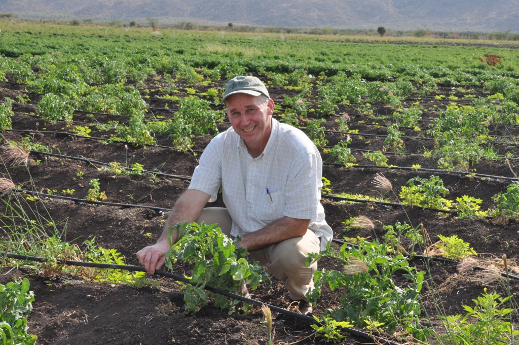 Doug Campbell inspects drip irrigation and crops at the Clarke Farm