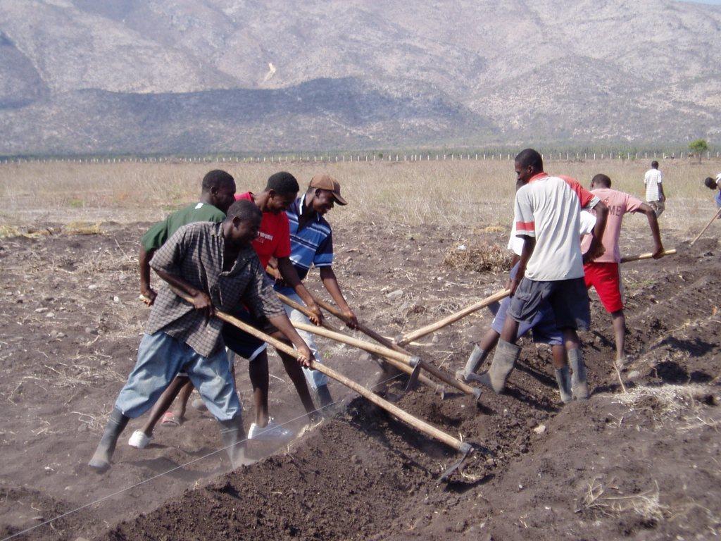 Peasants help create an irrigation canal.