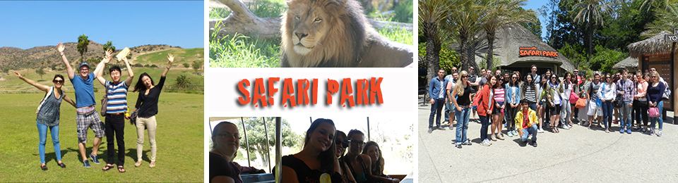 Safari_Park_San_Diego_Experiences.jpg