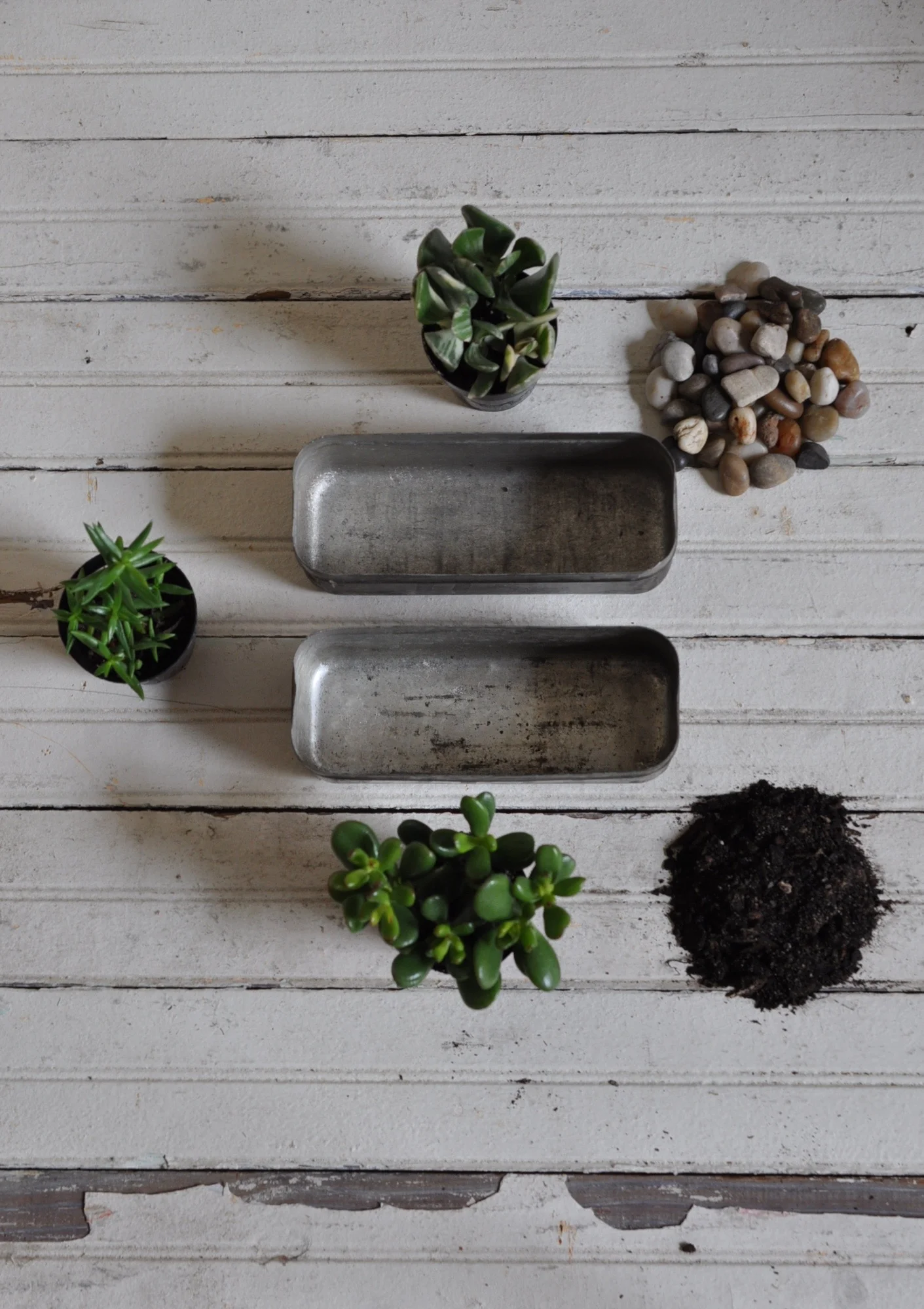 VINTAGE REDUX: TERRARIUM