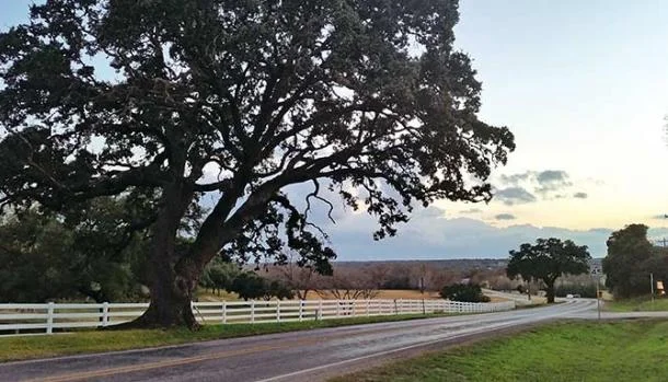  The Vintage Round Top Blog Photo credit: Jordan Breal - Texas Monthly Magazine