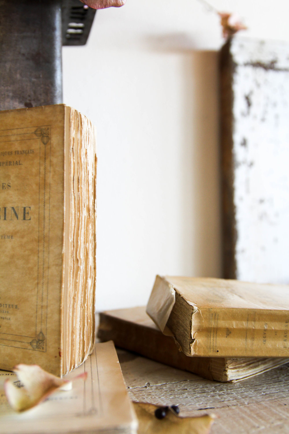 Antique Books  Vintique Rental