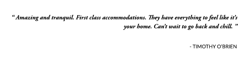 Testimonials_BOHO_OBRIEN.png
