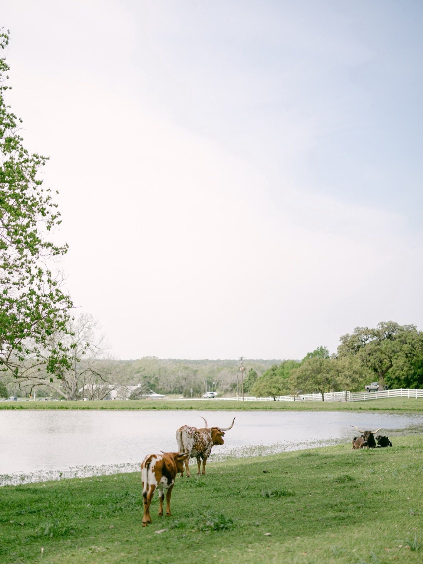 A peaceful moment, straight from the heart of Round Top - enjoy the view!

📷: @karissawidder