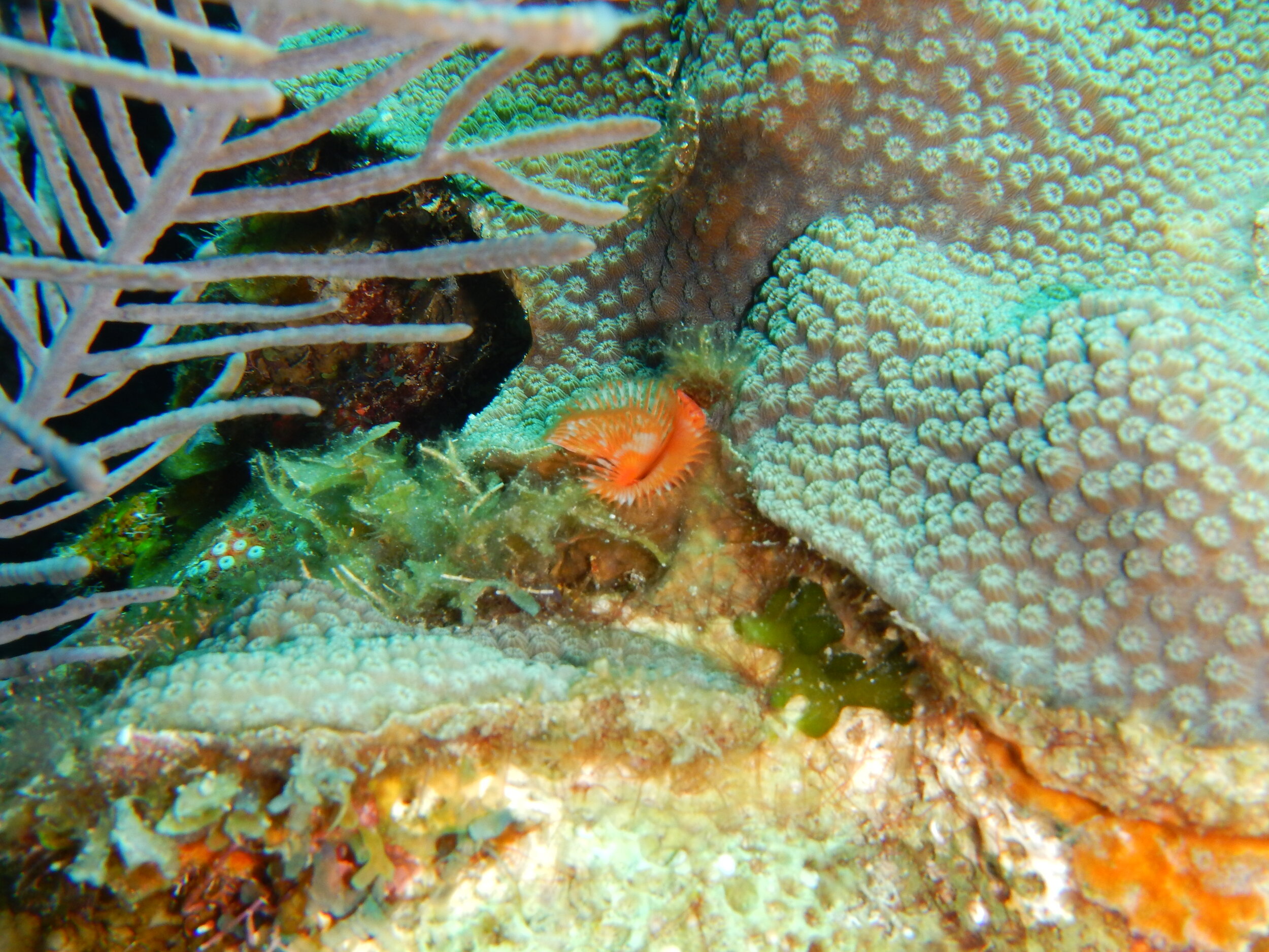 DSCN6895.jpg