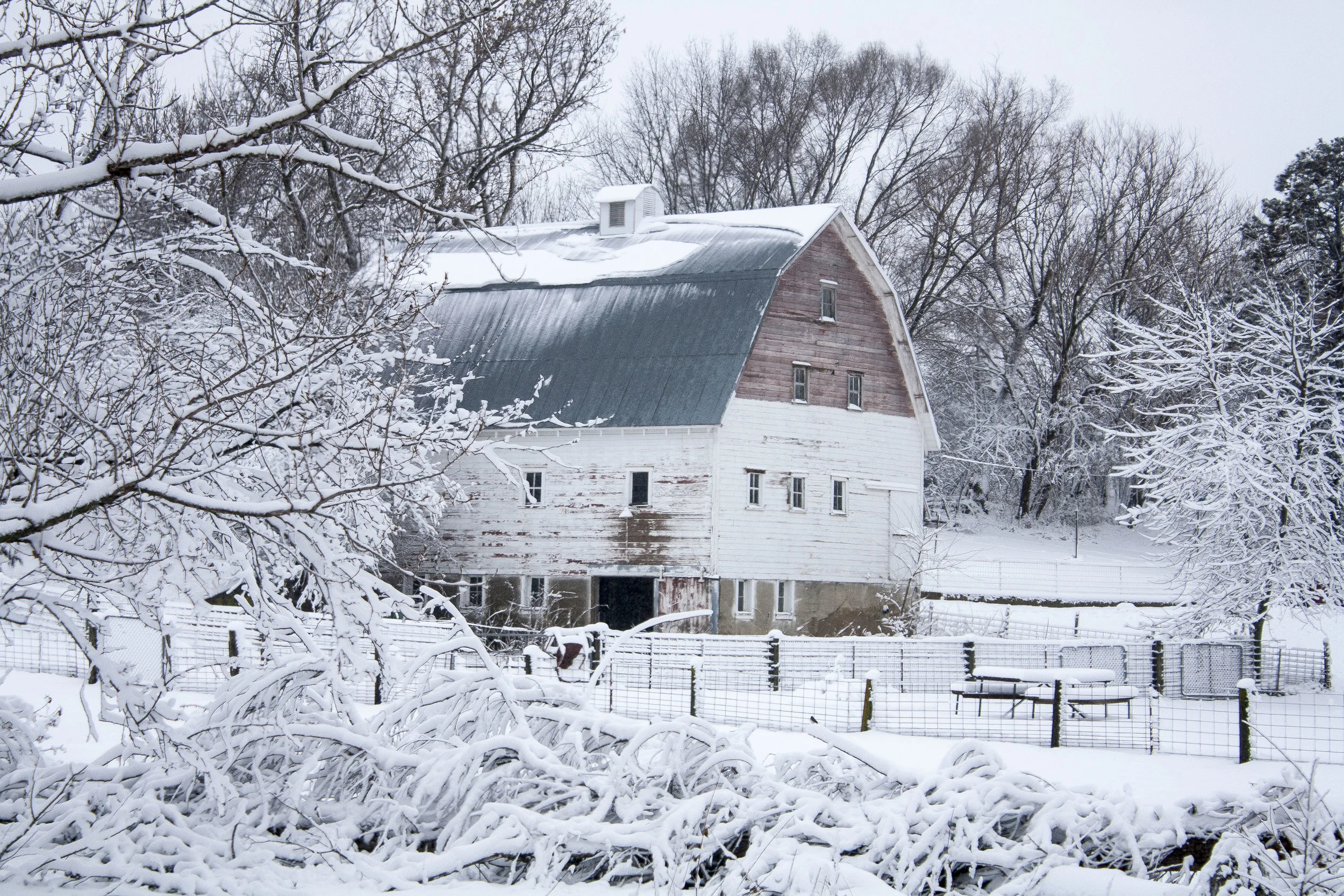snowbarn.jpg