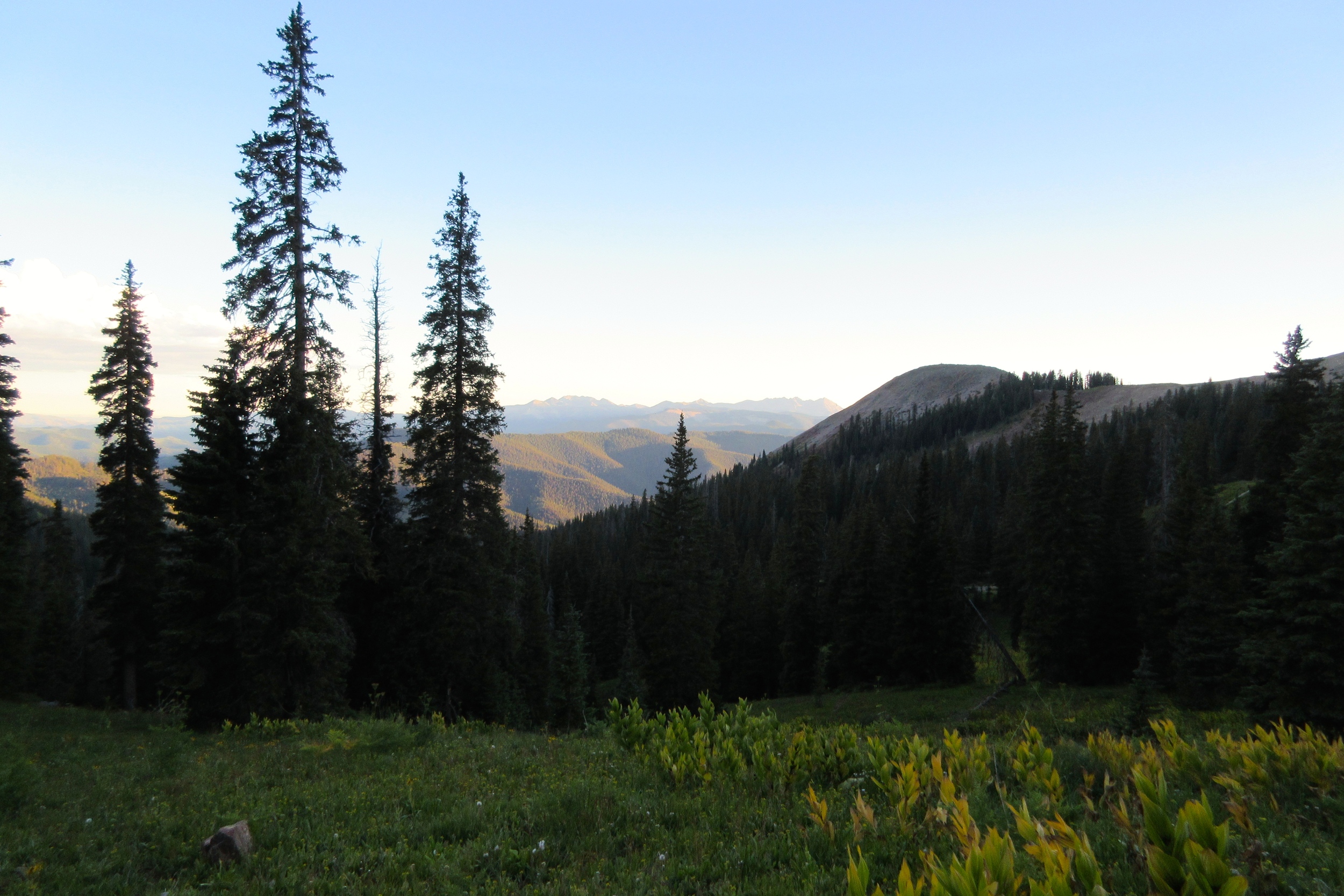 view from the latrine