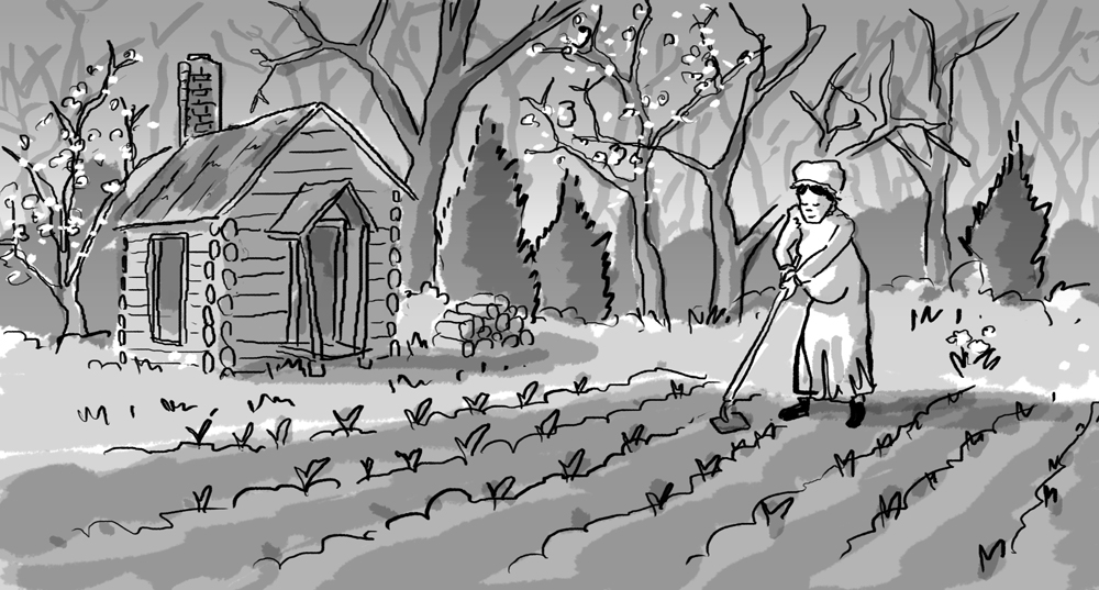 Olive gardening at their new homestead.