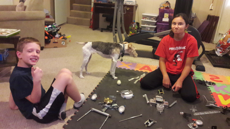 The dog was not much help at robot building.