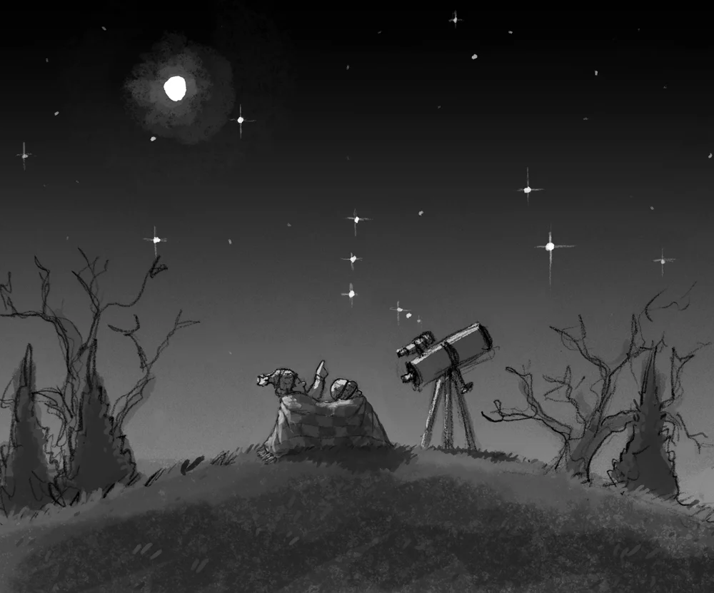 winterStargaze_blanket_web.jpg