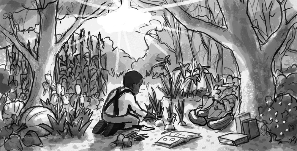 carverChap2Rough_web.jpg