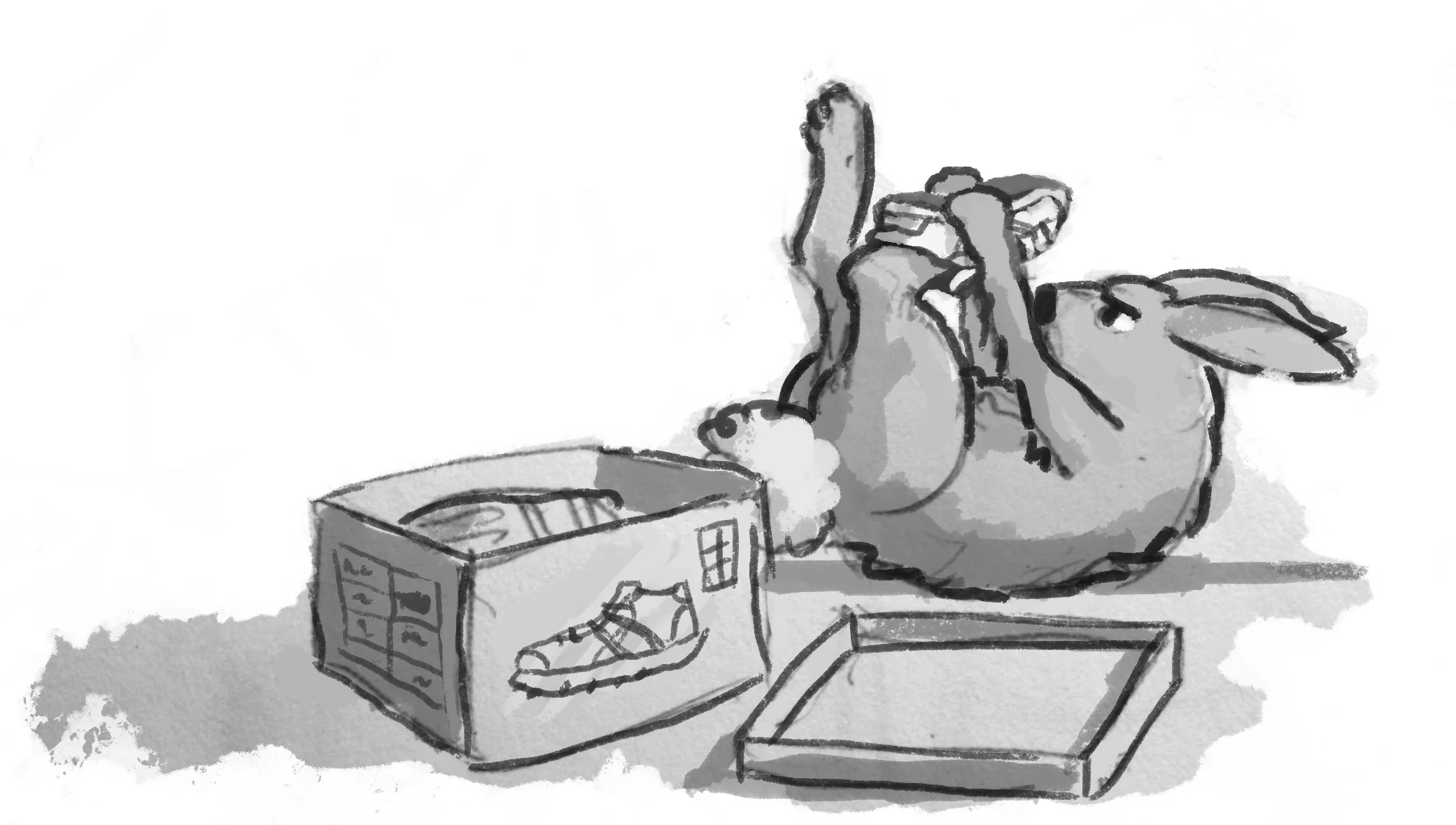 rabbitShoeWearing.jpg