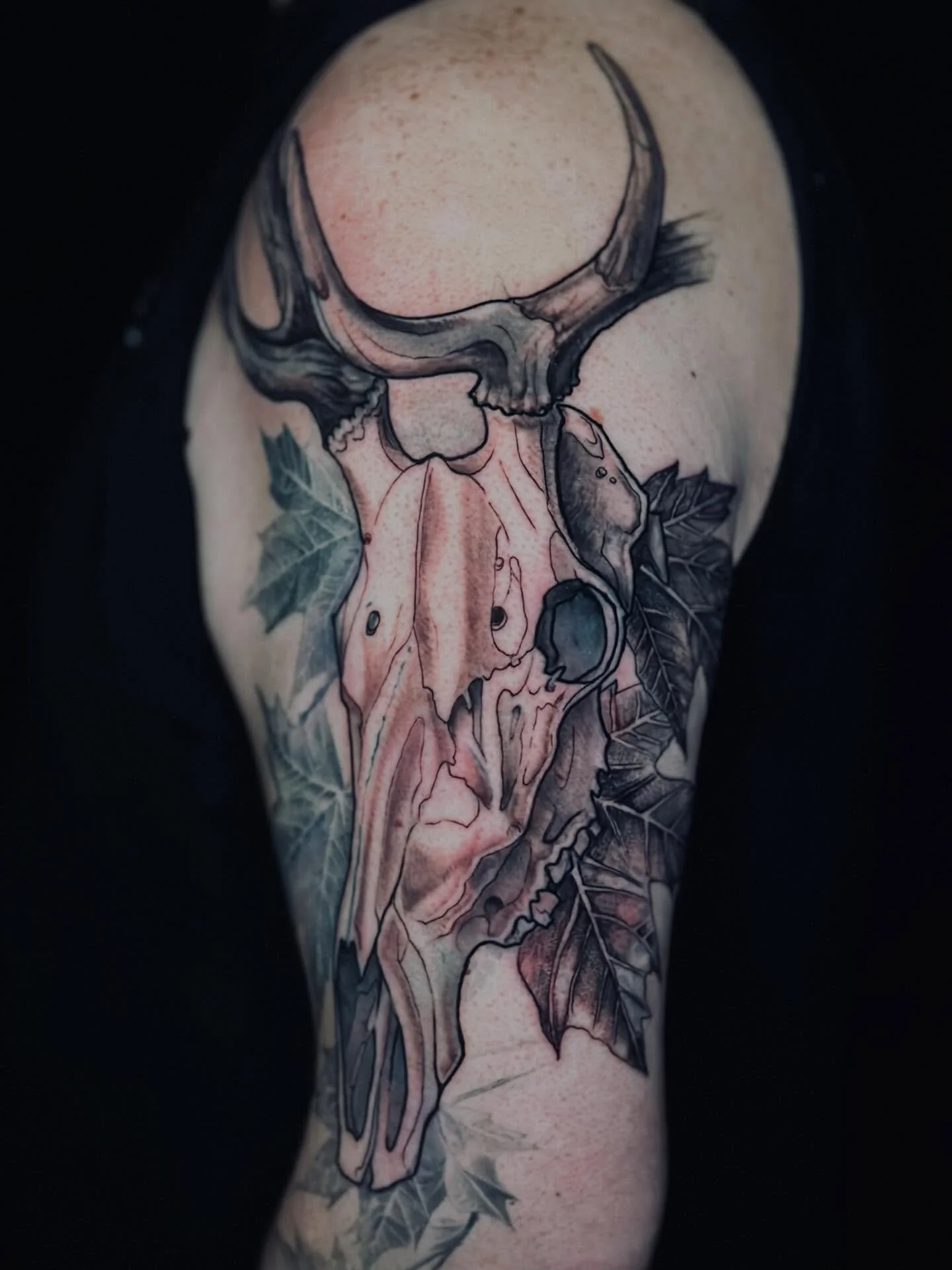 Here&rsquo;s a revamp I did of this elk skull for my client. Thanks for coming in!

#tattoo #tattooartists #skulltattoo #tattoos #tattooaddict